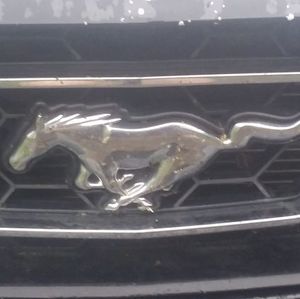 Meet your Posher, Roy